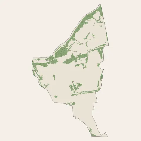 Torcy : bois, forêts et landes