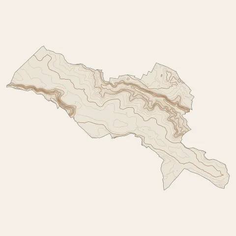 Magny-les-Hameaux : courbes de niveau