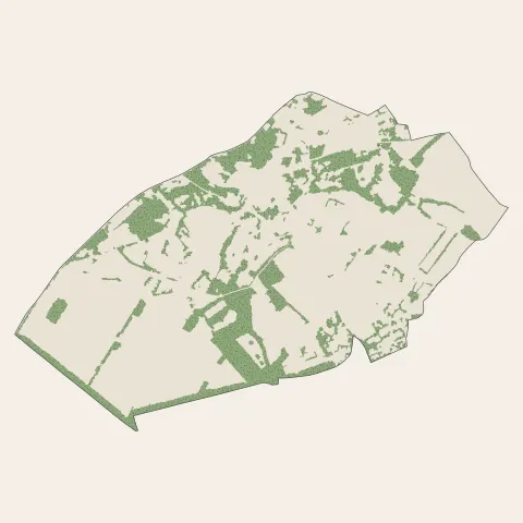 Montfort-l'Amaury : bois, forêts et landes