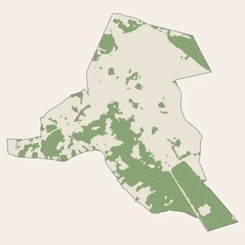 Neauphle-le-Château : bois, forêts et landes