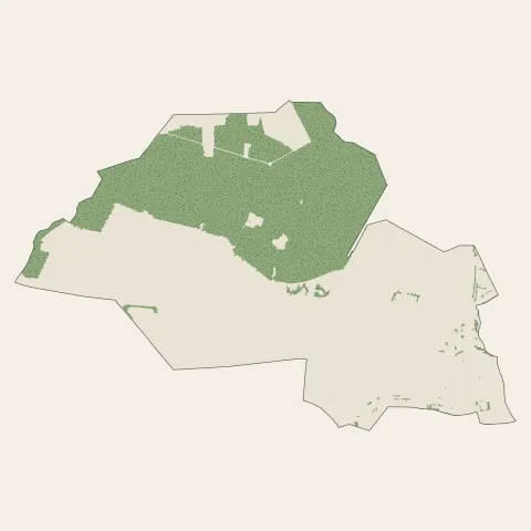 Vélizy-Villacoublay : bois, forêts et landes