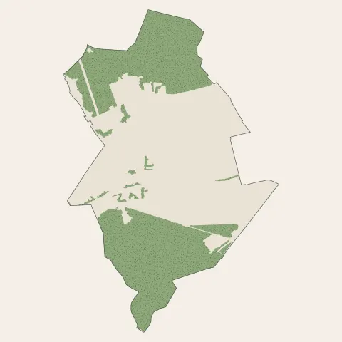 Viroflay : bois, forêts et landes