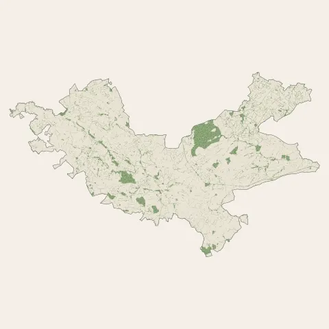 Mauléon : bois, forêts et landes