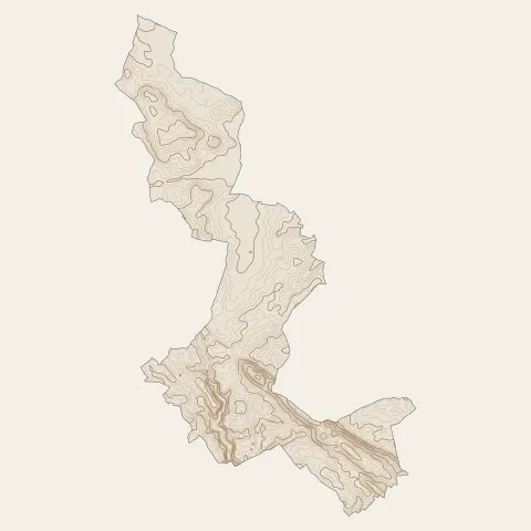 Sauzé-entre-Bois : courbes de niveau