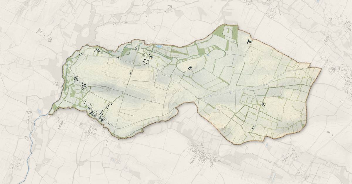 Portrait cartographique de Séligné : relief, eau, forêts, bâti et voies, calculés à partir des données de l'IGN