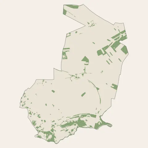 Camon : bois, forêts et landes