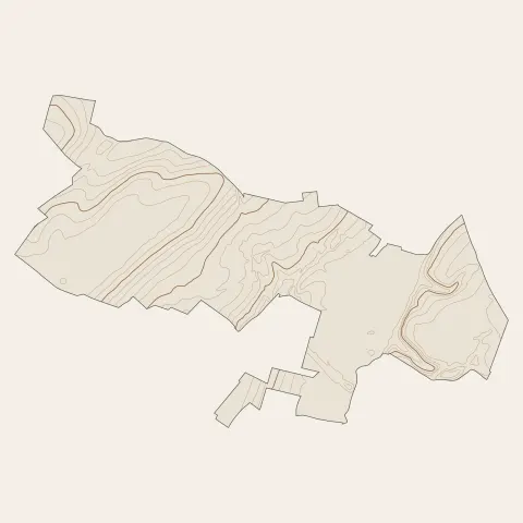 Saleux : courbes de niveau