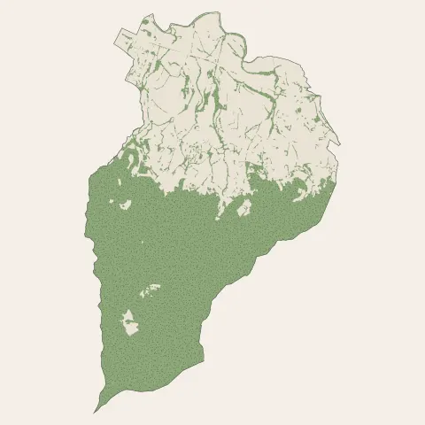 Aiguefonde : bois, forêts et landes