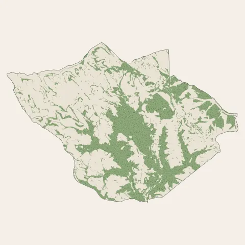 Cagnac-les-Mines : bois, forêts et landes