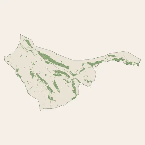 Cambon : bois, forêts et landes