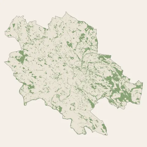 Castres : bois, forêts et landes