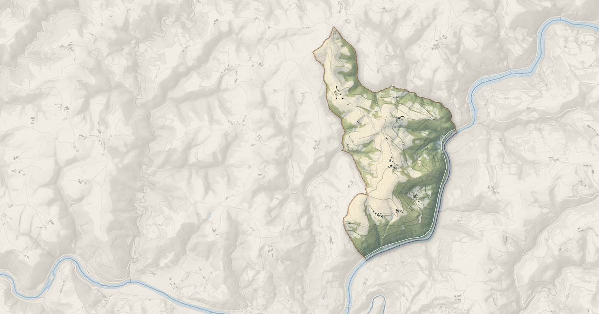 Portrait cartographique de Fraissines : relief, eau, forêts, bâti et voies, calculés à partir des données de l'IGN