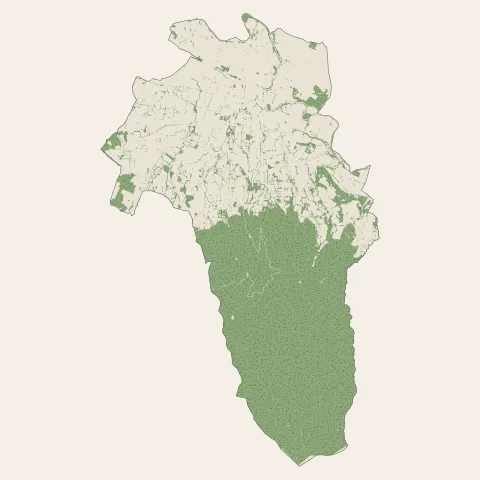 Labruguière : bois, forêts et landes