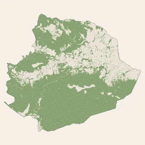 Lacaune : bois, forêts et landes