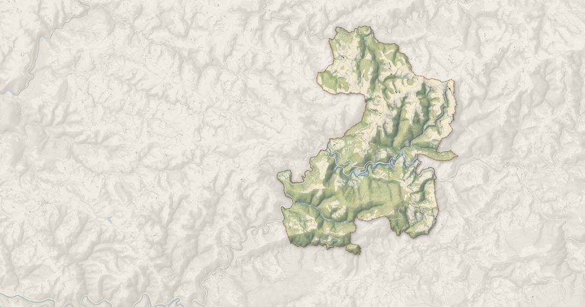 Portrait cartographique de Lacaze : relief, eau, forêts, bâti et voies, calculés à partir des données de l'IGN