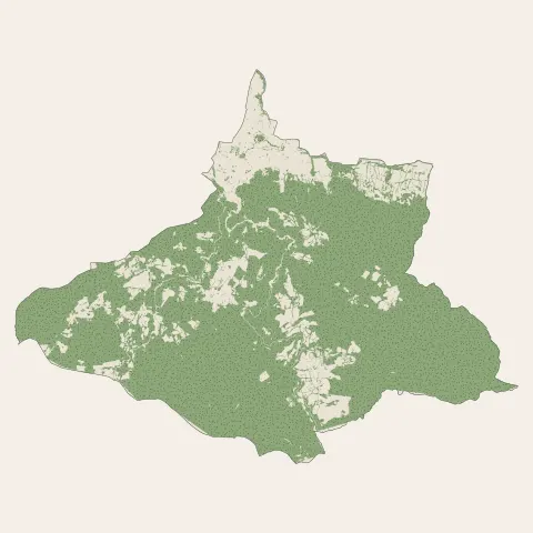 Mazamet : bois, forêts et landes