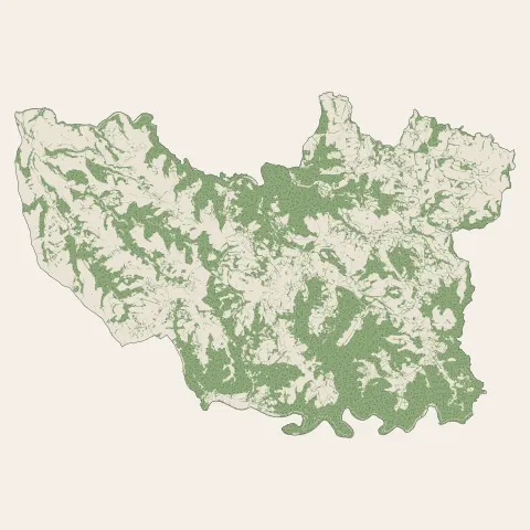 Montredon-Labessonnié : bois, forêts et landes