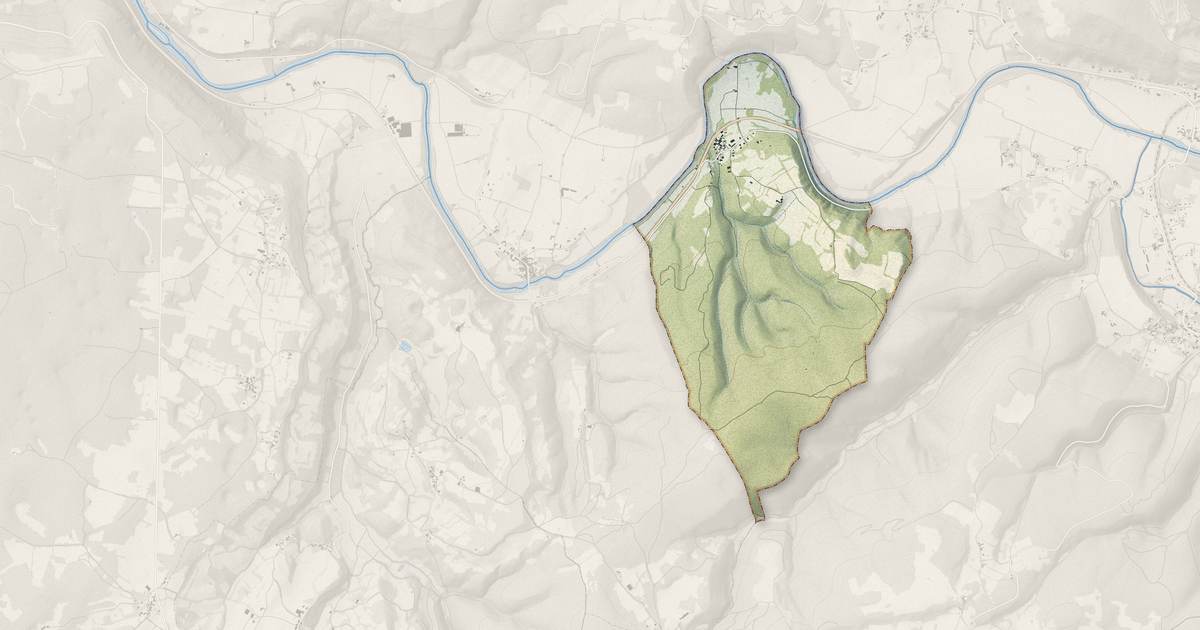 Portrait cartographique de Montrosier : relief, eau, forêts, bâti et voies, calculés à partir des données de l'IGN