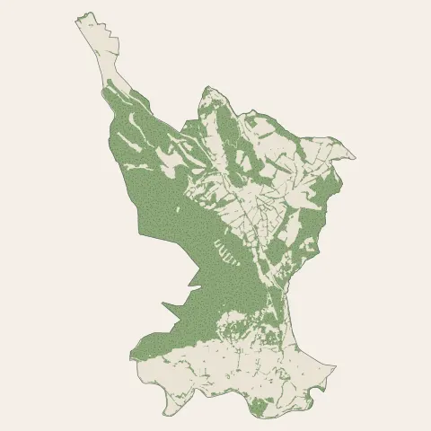 Payrin-Augmontel : bois, forêts et landes