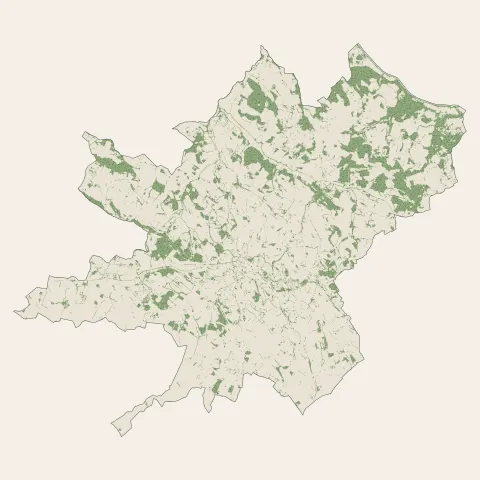 Puylaurens : bois, forêts et landes