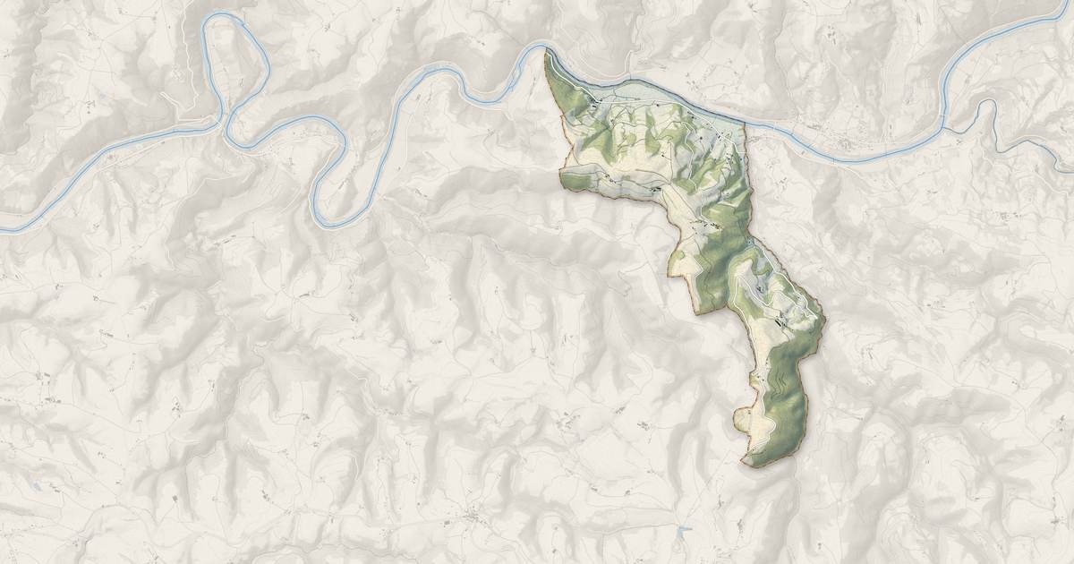 Portrait cartographique de Saint-André : relief, eau, forêts, bâti et voies, calculés à partir des données de l'IGN