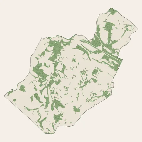 Saint-Benoît-de-Carmaux : bois, forêts et landes