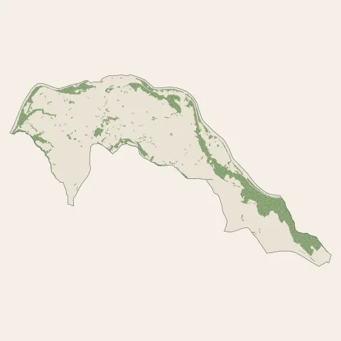 Saint-Juéry : bois, forêts et landes