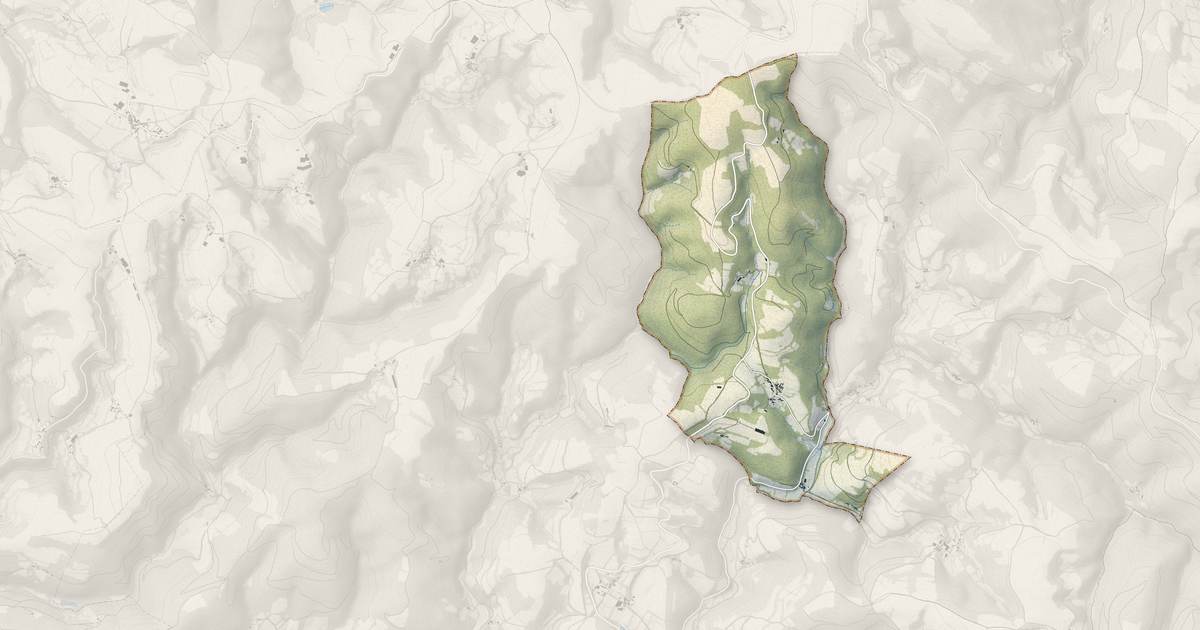 Portrait cartographique de Senaux : relief, eau, forêts, bâti et voies, calculés à partir des données de l'IGN