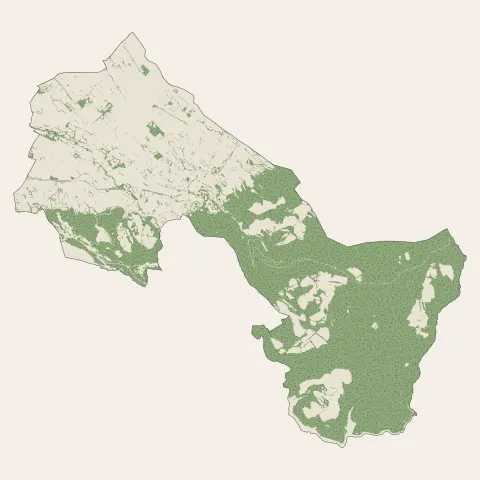 Sorèze : bois, forêts et landes