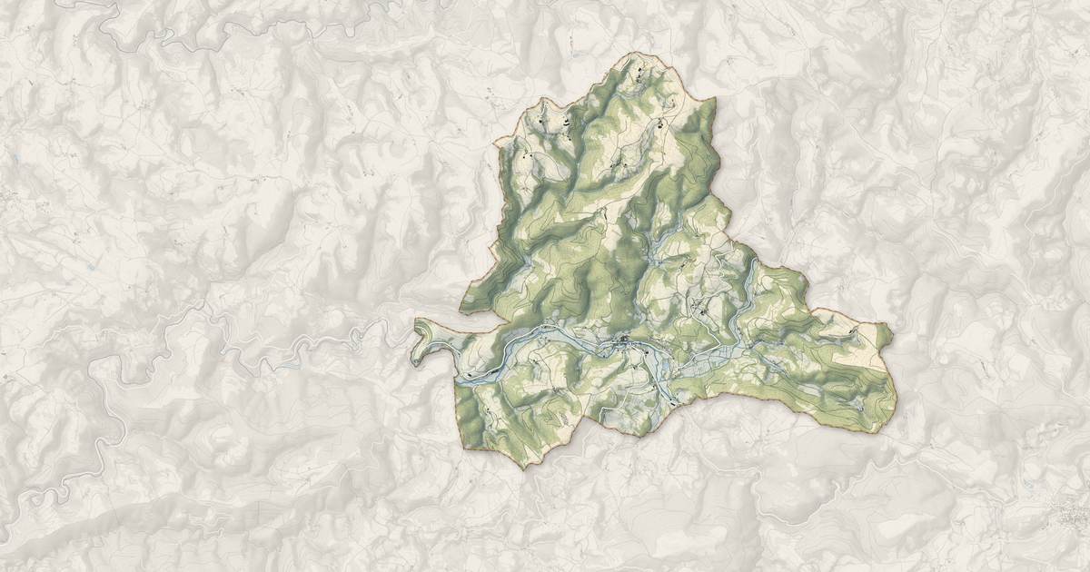 Portrait cartographique de Viane : relief, eau, forêts, bâti et voies, calculés à partir des données de l'IGN