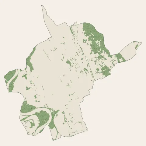 Grisolles : bois, forêts et landes
