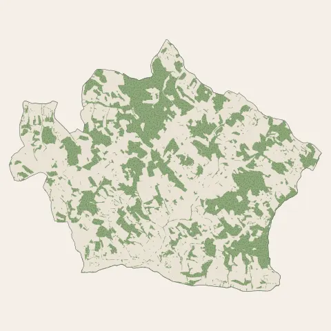 Monclar-de-Quercy : bois, forêts et landes