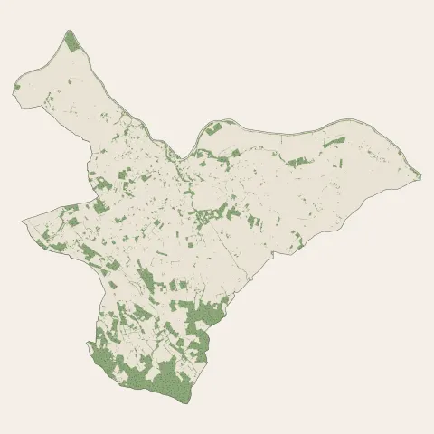 Nègrepelisse : bois, forêts et landes