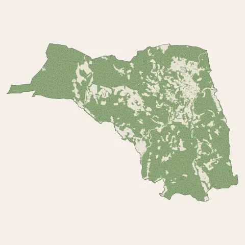 Barjols : bois, forêts et landes