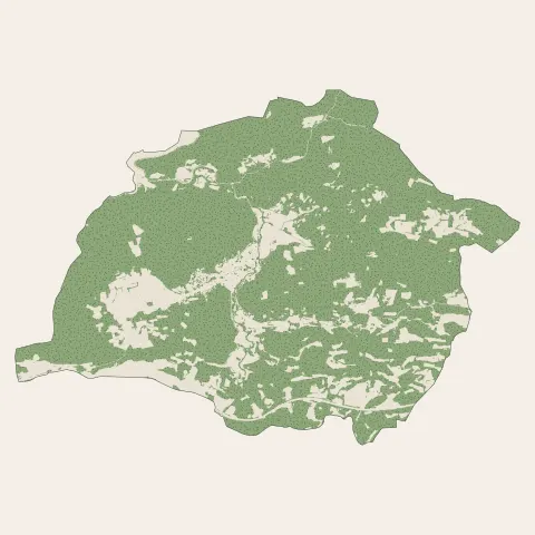 Cabasse : bois, forêts et landes
