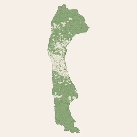 Callian : bois, forêts et landes