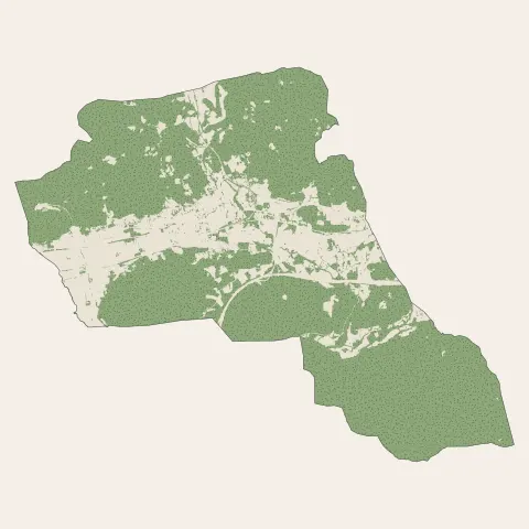 Carnoules : bois, forêts et landes