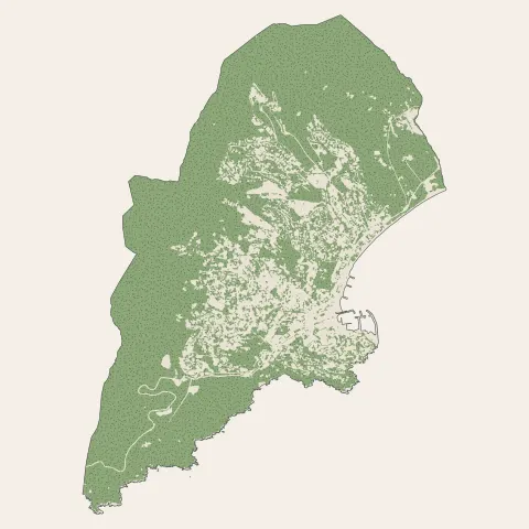 Cavalaire-sur-Mer : bois, forêts et landes