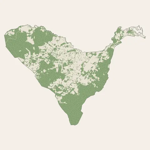 Cogolin : bois, forêts et landes