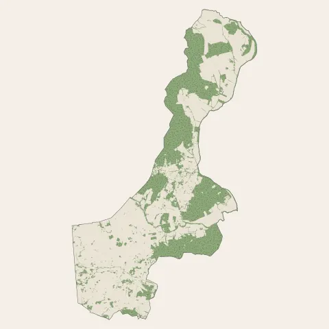 La Crau : bois, forêts et landes
