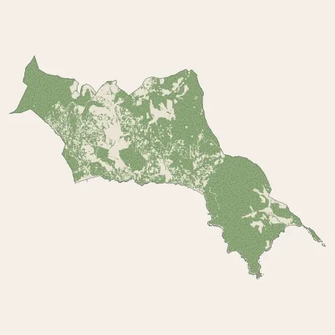 La Croix-Valmer : bois, forêts et landes