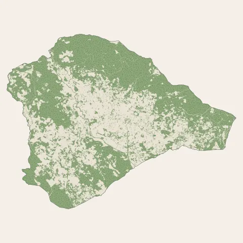 Draguignan : bois, forêts et landes