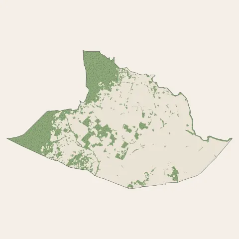 La Farlède : bois, forêts et landes