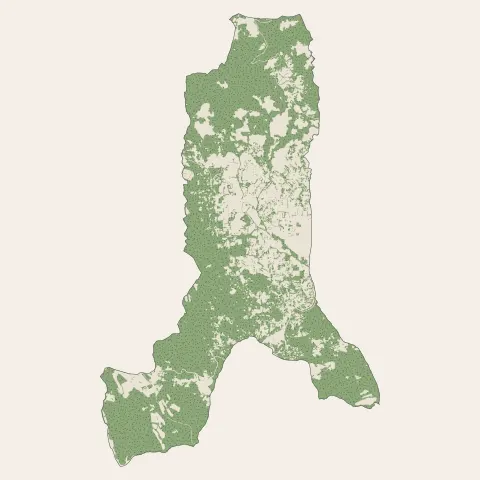 Fayence : bois, forêts et landes