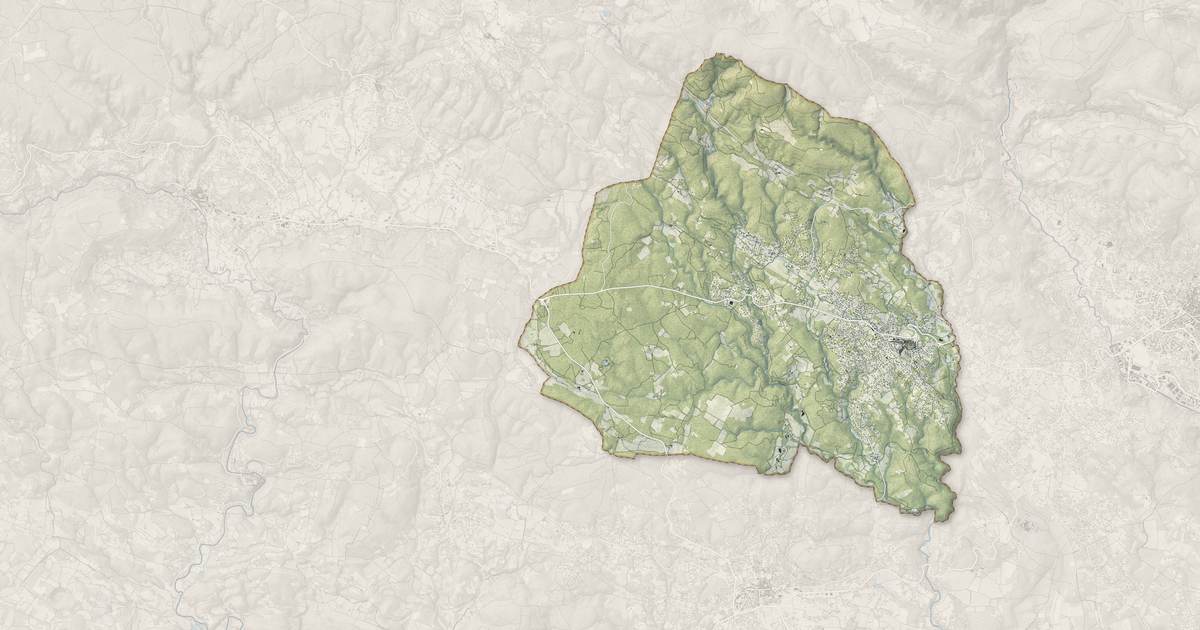Portrait cartographique de Flayosc : relief, eau, forêts, bâti et voies, calculés à partir des données de l'IGN