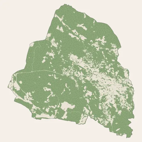 Flayosc : bois, forêts et landes
