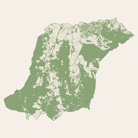 Gassin : bois, forêts et landes