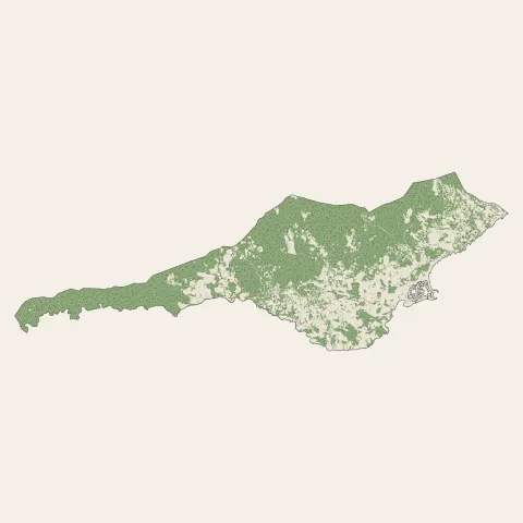 Grimaud : bois, forêts et landes