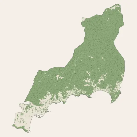 Le Lavandou : bois, forêts et landes