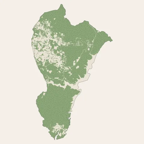 Montauroux : bois, forêts et landes